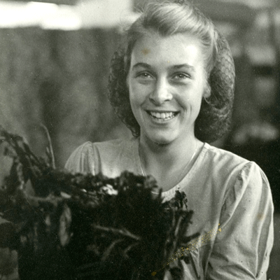 Arvika Råtobak 1950-tal 
