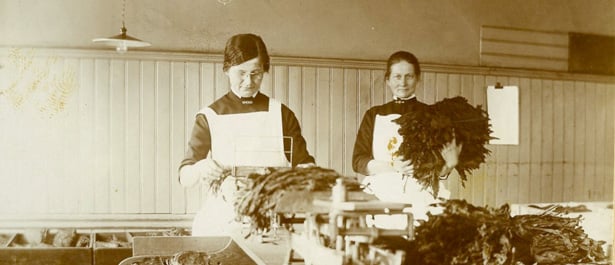 stripning av tobaksblad, Snus- och Tändsticksmuseum