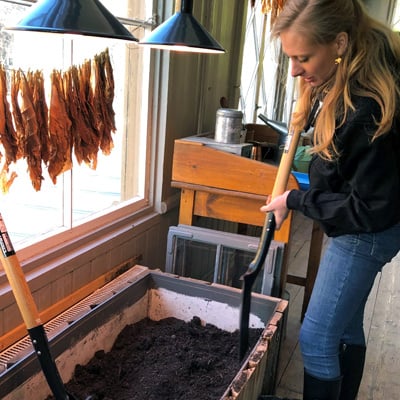 Tobaksodling-sådd-2020-Snus-och-Tändsticksmuseum